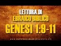 Lettura di ebraico biblico: Genesi 1:9-11 - B e r e s h i t - parte 3