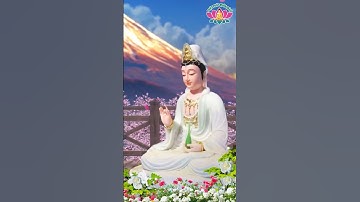 Phật Dạy Khi Gặp Bế Tắc Trong Cuộc Sống, Chỉ Cần Nhớ 3 Câu Này Mọi Nỗi Đau Sẽ Tiêu Tan #shorts