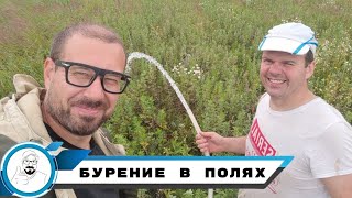 видео: Две абиссинки в поле // Колодец VS Абиссинская скважина картинка: Две абиссинки в поле // Колодец VS Абиссинская скважина