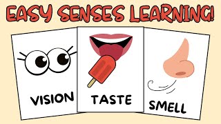 Senses In English for Kids with Images – Easy and Fun Learning!
