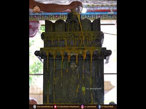 Shri Satyabhinava Teerthara Aradhana Mahotsava @ Nacharkoil