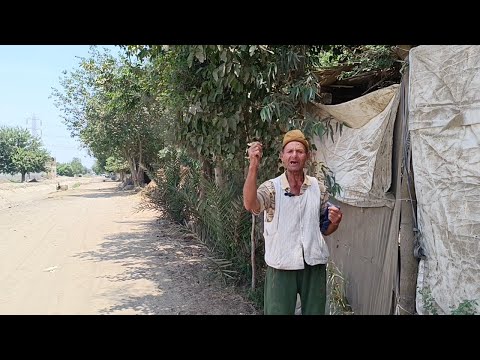 معلومات مهمه جدا عن شجرة السنط مع المهندس الزراعي الاستاذ مسعد ابو مرسي