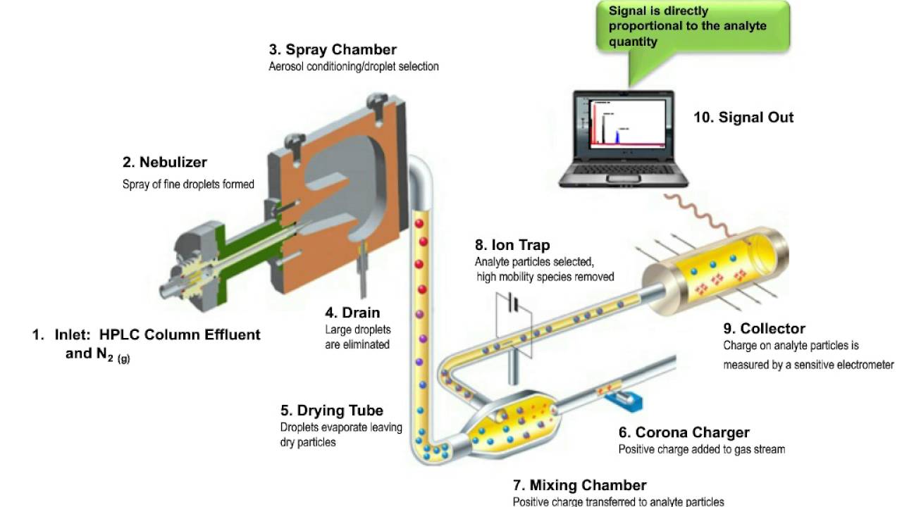 Charged Aerosol Detection Applications In Biopharmaceutical Analysis Youtube