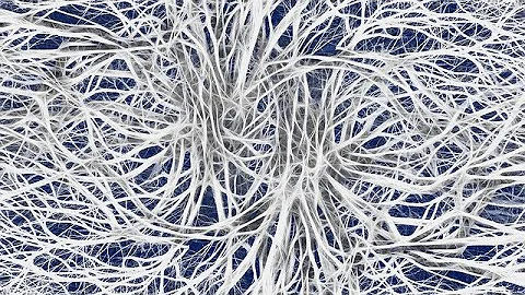 E1&E2: Maintaining Internal Conditions & Controlling Body Temperature(E2 Biology only, GCSE Biology)