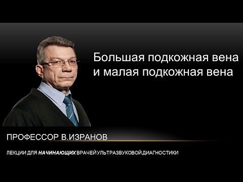 Большая подкожная вена и малая подкожная вена