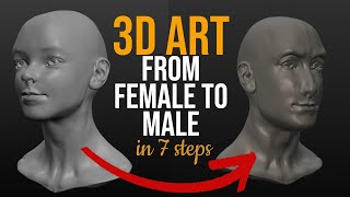 From female to male in 7 steps (3D sculpture)