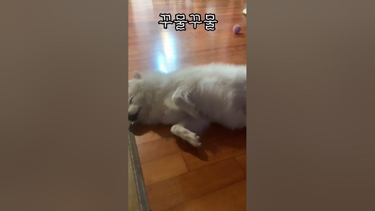 무슨 꿈 꾸나요 - Youtube