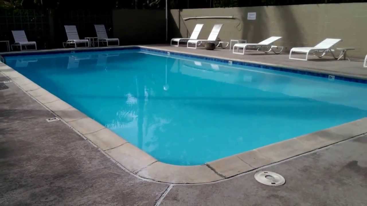 Victoria Plaza Pool Needs To Be Cleaned Pool Deck is Filthy YouTube