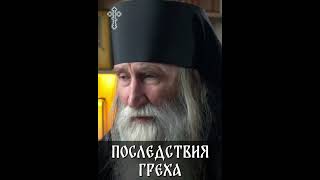 ☦️Могут ли не наступить последствия греха?Отвечает монах Киприан.