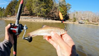 Live Baiting for BIG Catfish - Kayak Catfishing