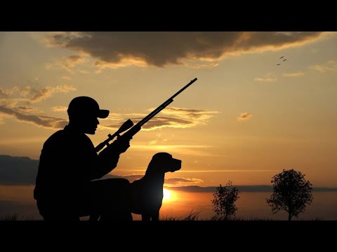 Видео: The Hunter Call of the Wild™-Стрим🔴+ Задания эфира
