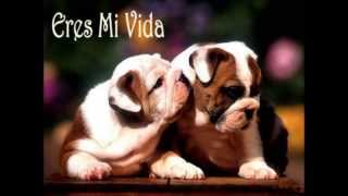 Ken Y Feat Wise - Amores como el tuyo