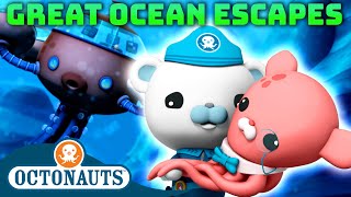 @Octonauts - 🌊 Great Ocean Escapes 🛟 | 80 Mins+ Compilation | Underwater Sea Education for Kids