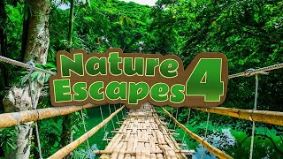 Nature Escapes 4 Game Trailer screenshot 4