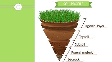 Soil Profile - Soil || Chapter 9 || Class 7