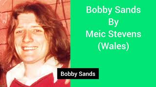 Bobby Sands - In Song through an International Prospective