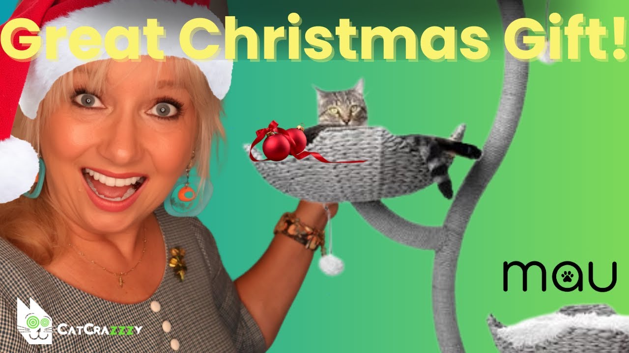 A Great Cat Tree? The Ivy from Mau YouTube