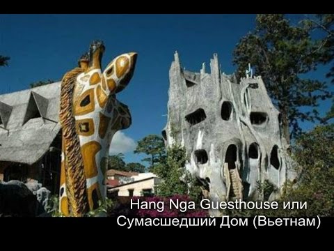 Необычные дома со всего света.