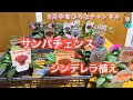 【サンパチェンスをシンデレラ植え】5月中旬のお庭 ラックス、オステオスペルマム、マーガレット