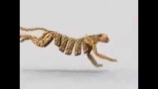 cheetah running full speed - Animation - Maya animation - 3d