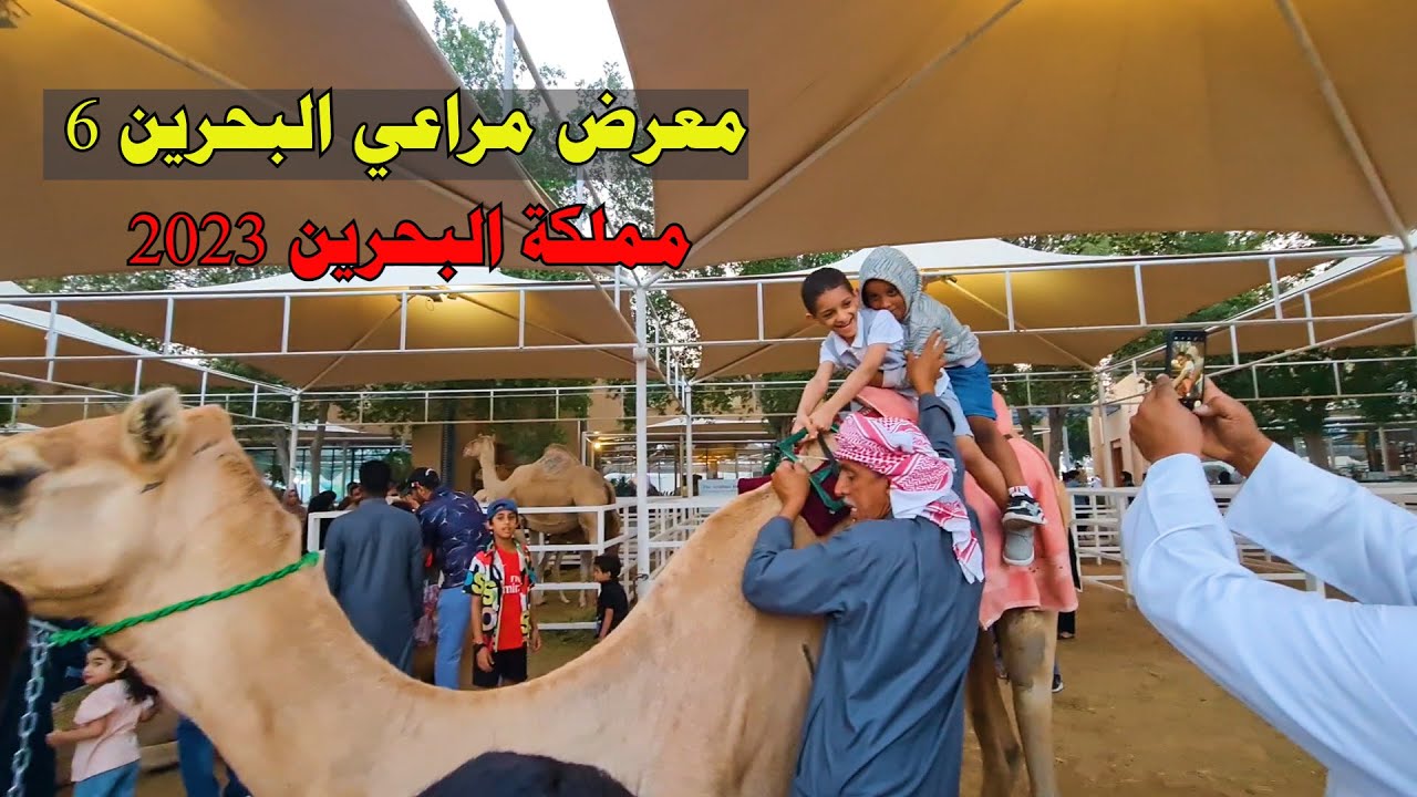 معرض مراعي البحرين 2023   معرض البحرين للإنتاج الحيواني