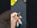 Stylish Nail Art at Home trending Nail Art Designs #trending #viralshort #vlog #nailart #beautytips