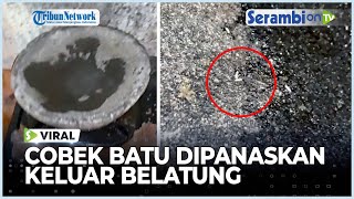 Viral Cobek Batu Dipanaskan Keluar Hewan Mirip Belatung