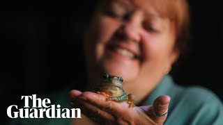 Frog of the ball: at the Sydney Royal Easter Show, what makes a prize-winning amphibian?