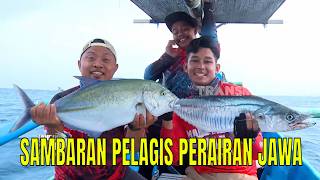 [FULL] SAMBARAN PELAGIS PERAIRAN JAWA | MANCING MANIA STRIKE BACK (30/08/26)