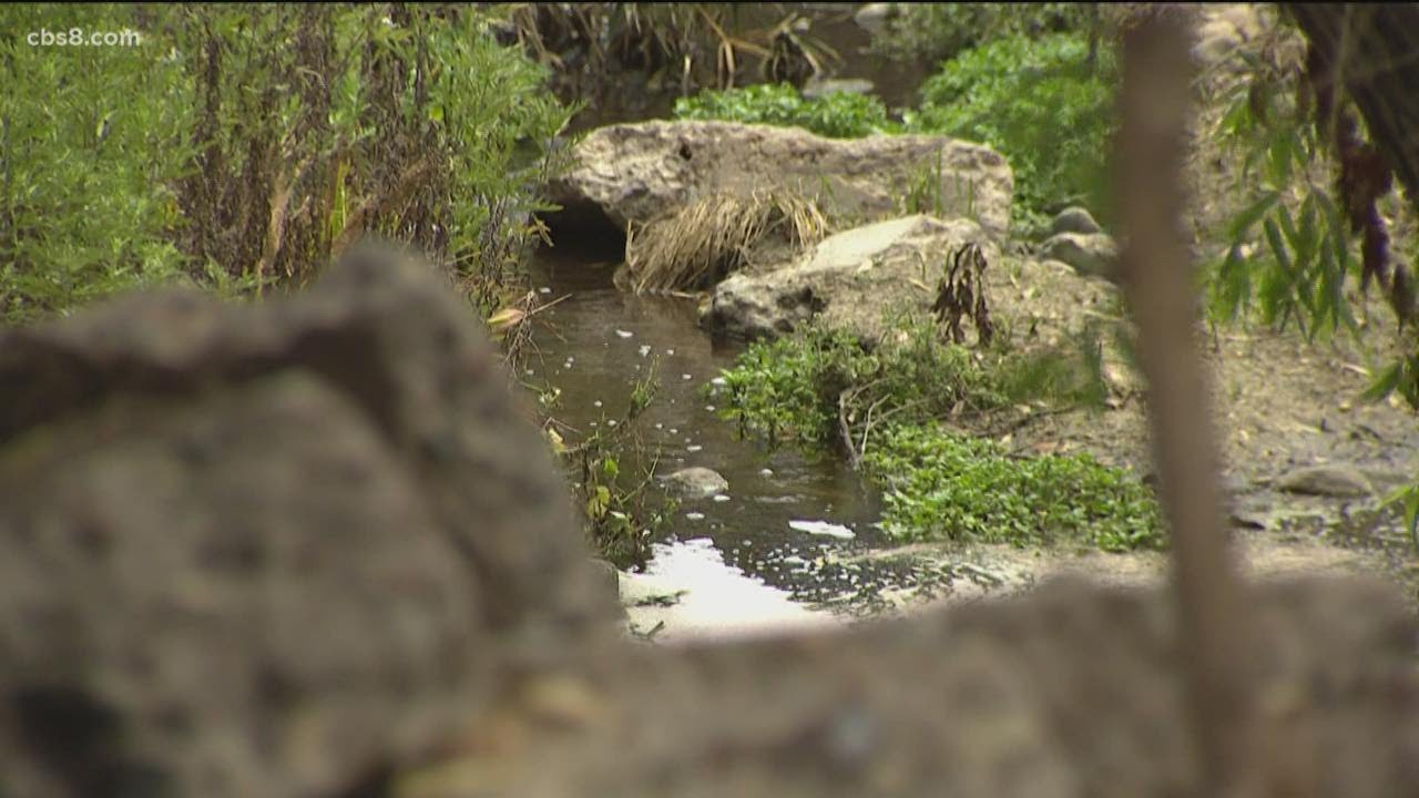 5 Branches of Chollas Creek to become regional park