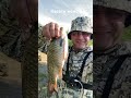 Килограммовые караси в СПб 🎣