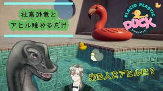 🎮【Placid Plastic Duck Simulatorその2】🎮 #初見歓迎 #アヒル  #vtuber  ＃雑談配信 ＃ゲーム実況 ＃バカゲー