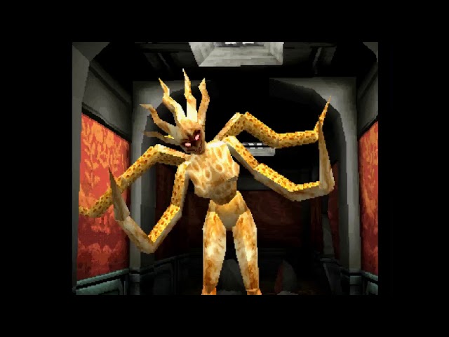 伝説の拳 sddefault.jpg