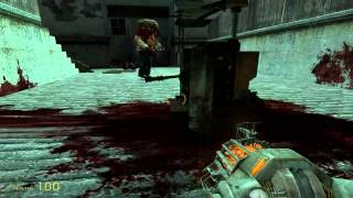 PC Capture Tester - Half Life 2 w/Fraps