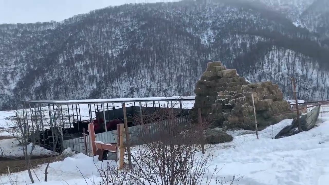 Անգուսներն ու Դորպերները ձմեռային ծածկի տակ՝ ձյունառատ Գեղատափում 