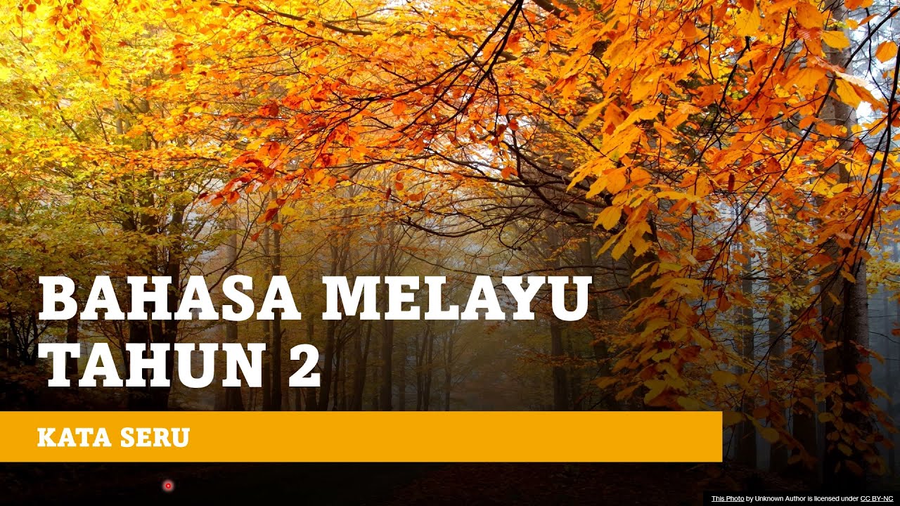 Bahasa Melayu Tahun 2 Kata Seru Youtube