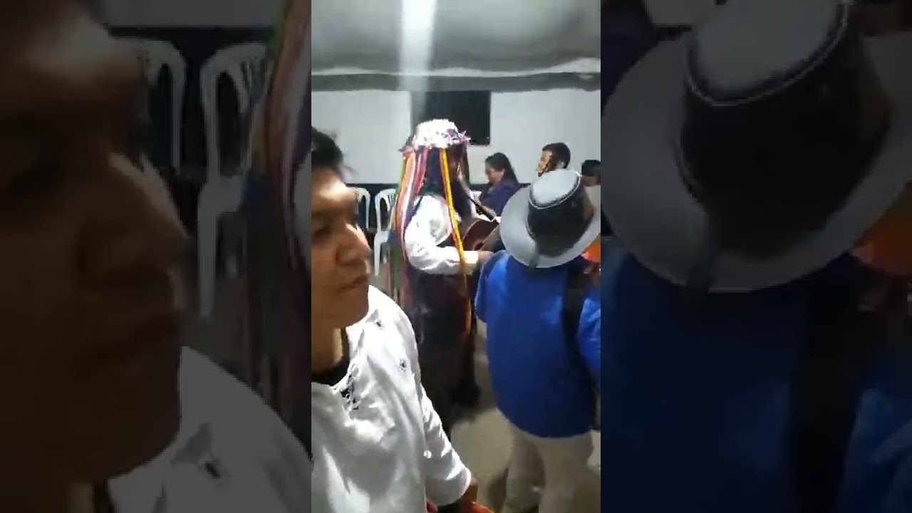 Ramas de Gallos en la Comunidad Mojandita Otavalo