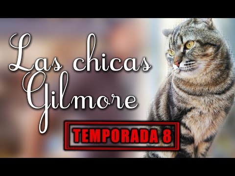 dulce Radar Gama de CRÍTICAS DE SERIES - CHICAS GILMORE (TEMPORADA 8) - YouTube