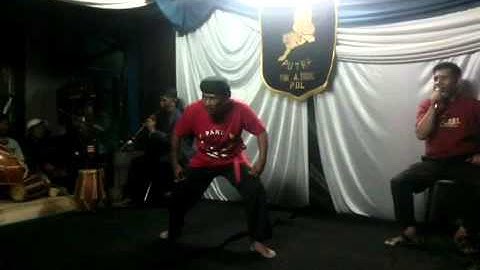 Guru Besar Harimau Sancang Putra