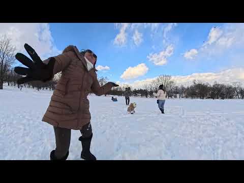 Sapporo Japan Snow ❄️ Winter Wonderland in Hokkaido 2026