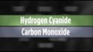 Toxic Twins