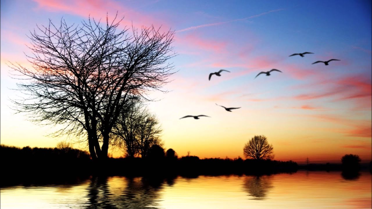 Sebastian Xxx - Original Composition