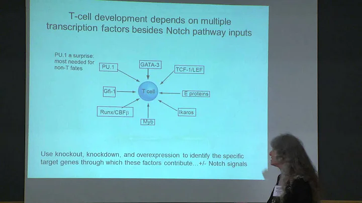 Symposium in Honor of Professor Boris Magasanik - Ellen Rothenberg (5/31/2014)