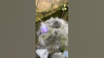 Máy tạo khói cho bể cá, hòn non bộ nhà bạn giá rẻ… #nhadepttd