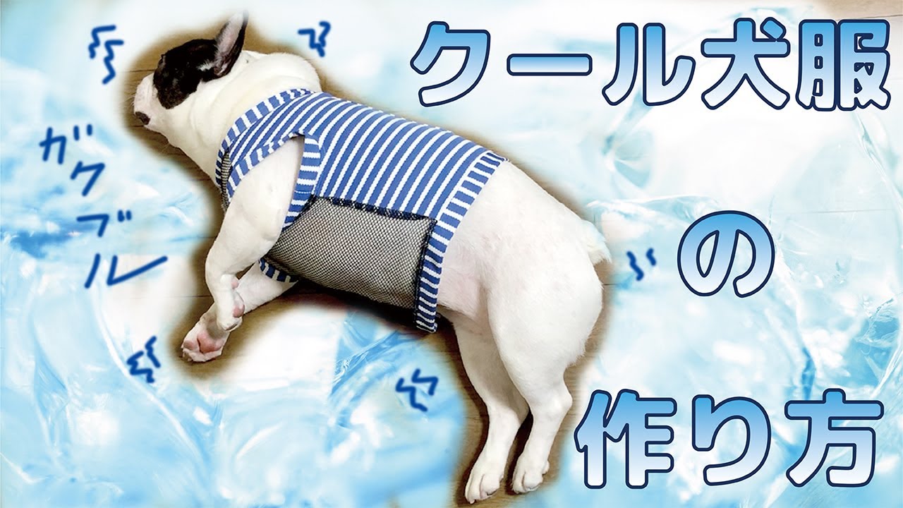 ダイソーのアイテムでフレブルの夏対策クール犬服の作り方(DIY/型紙