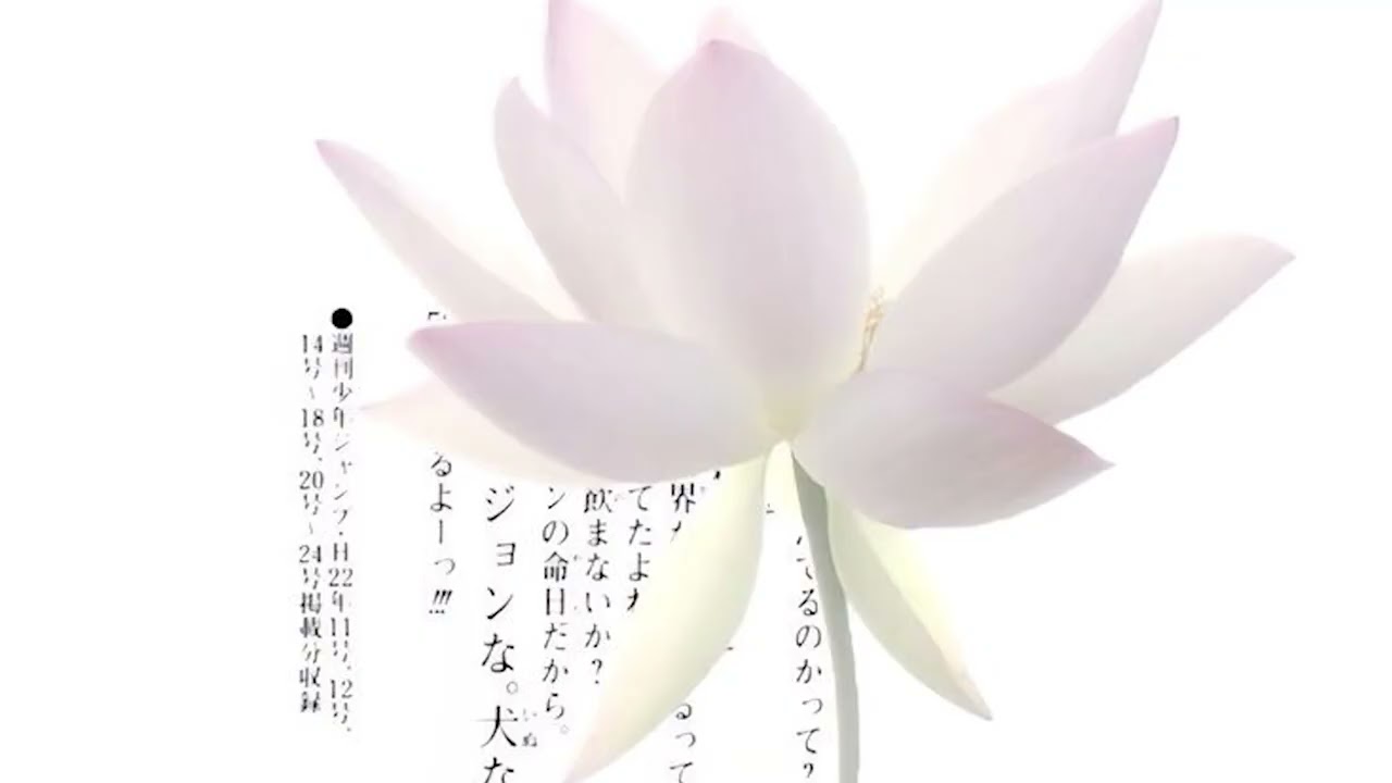 *free* Botanica x Sleepxver type beat