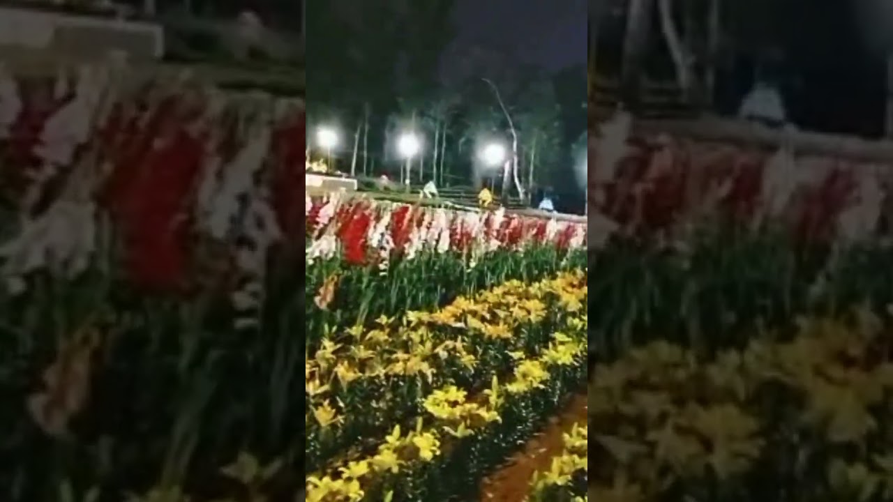 Wayanad Flower Show 2023