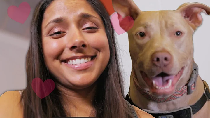 7 Signs It's Time To Get A Dog - DayDayNews