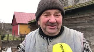 Gienek and Andrzej from Plutycze and their famous blue cows. What do they do in winter?