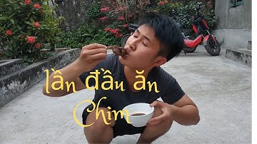 Chính Vlog | Chim Cút Nướng Siêu Ngon - Ăn Chim To|Super Grilled Quail